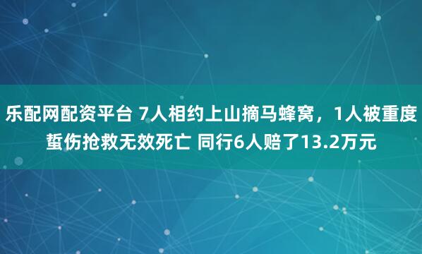 乐配网配资平台 7人相约上山摘马蜂窝，1人被重度蜇伤抢救无效死亡 同行6人赔了13.2万元